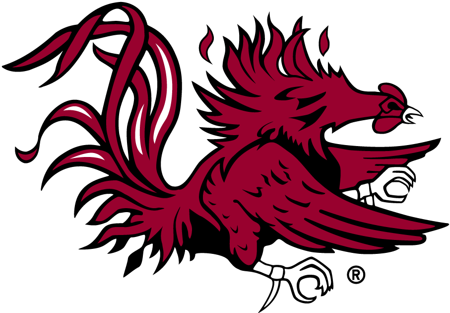 South Carolina Gamecocks 1983-Pres Secondary Logo diy fabric transfers